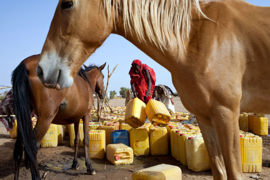 mauritania Internally Displaced Persons