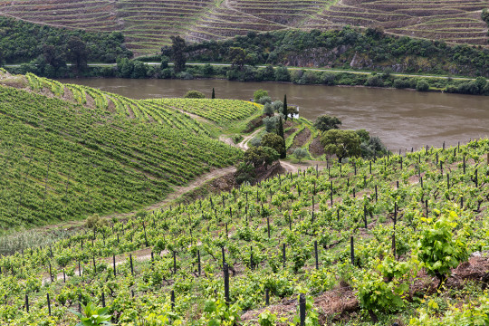 PORTO AND THE DOURO VALLEY